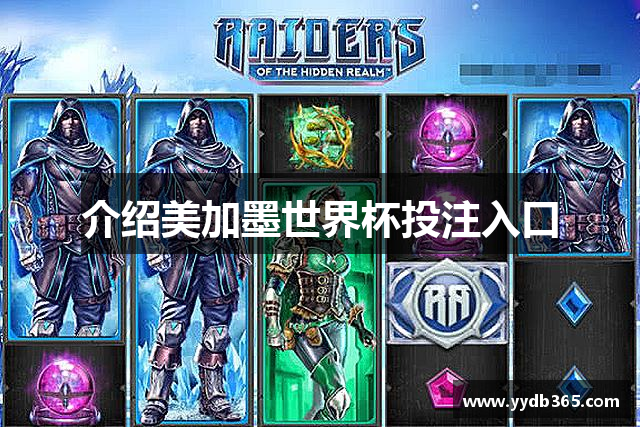 介绍美加墨世界杯投注入口